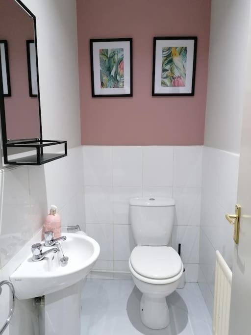 Stunning 3 Bedroom Townhouse In The Heart Of City 贝尔法斯特 外观 照片